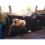 Image 1 of customer photos