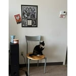 Image 7 of customer photos