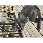 Image 3 of customer photos