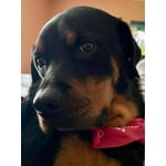 Image 4 of customer photos