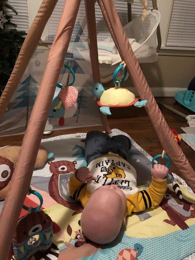 camping cubs activity gym