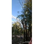 Imagen 6 de las fotos del cliente