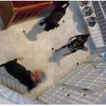 Image 1 of customer photos