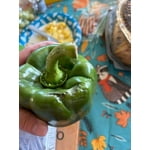 Image 6 of customer photos