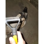 Image 2 of customer photos