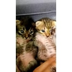 Image 4 of customer photos