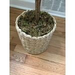 Image 6 of customer photos