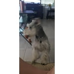 Image 5 of customer photos