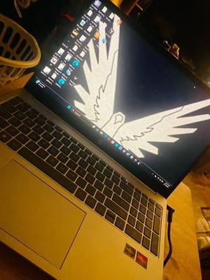 Customer reviews for HP 15.6 inch FHD IPS Win 11 Laptop AMD Ryzen
