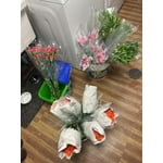 Image 1 of customer photos