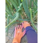 Image 7 of customer photos