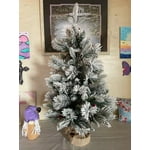 Image 5 of customer photos