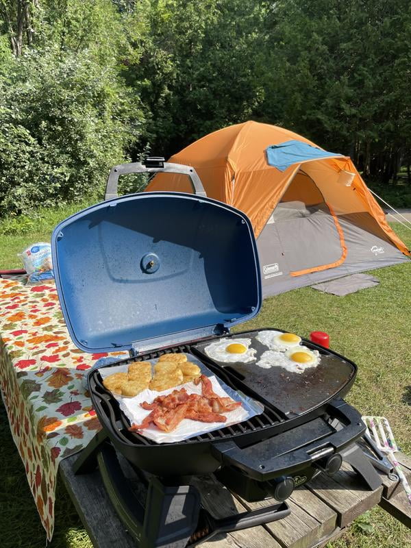 Portable Gas Grill Napoleon Travelq Tq285 Portable Propane