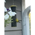 Image 3 of customer photos