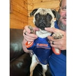 Image 1 of customer photos