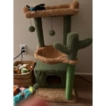 Image 3 of customer photos