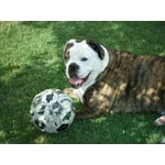 Image 1 of customer photos