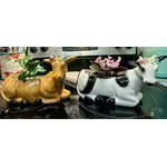 Image 4 of customer photos