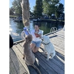 Image 4 of customer photos