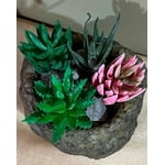 Image 3 of customer photos