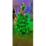 Image 5 of customer photos