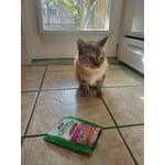 Image 3 of customer photos