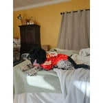 Image 4 of customer photos