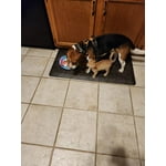 Image 4 of customer photos