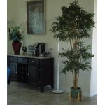 Image 2 of customer photos