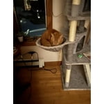 Image 3 of customer photos