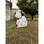 Image 2 of customer photos