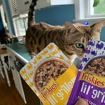 Image 7 of customer photos