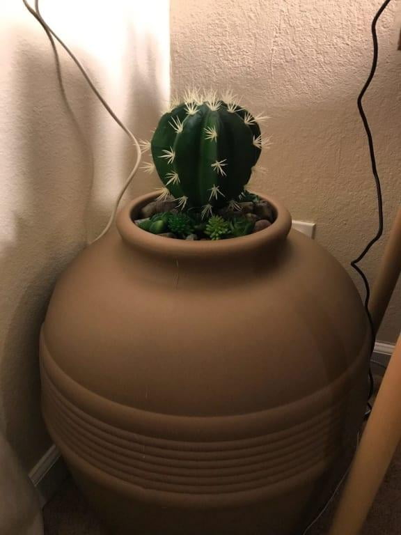 hidden plant litter box