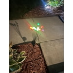 Image 4 of customer photos