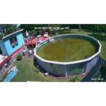 HTH Super Algae Guard 5-in-1: Algae Killer, Preventer, Pool Cleaner, 1 ...