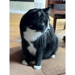 Image 3 of customer photos