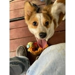 Image 5 of customer photos