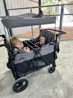 Customer reviews for Jeep Wrangler Deluxe 4 Seater Stroller Wagon by Delta  Children - Premium Quad Stroller Wagon for 4 Kids with Convertible Seats,  Adjustable Push/Pull Handles, Removable Canopy & Flat Fold,