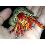 Image 6 of customer photos