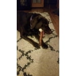 Image 5 of customer photos