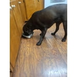 Image 7 of customer photos