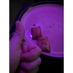 Image 3 of customer photos