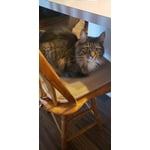 Image 2 of customer photos