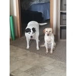 Image 2 of customer photos