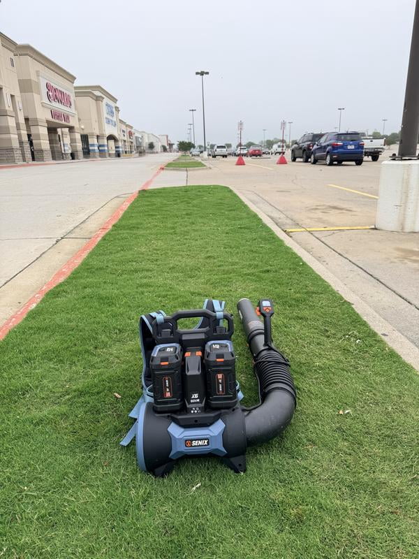 Customer reviews for SENIX X6 60V Max* Brushless Cordless Leaf