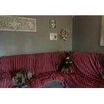 Image 7 of customer photos