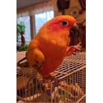 Image 7 of customer photos