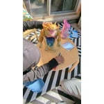 Image 3 of customer photos