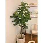 Image 6 of customer photos