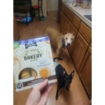 Image 5 of customer photos